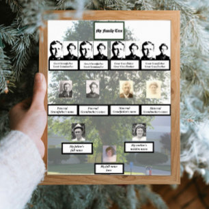 Gedempte 4-generatie Summertime Family Tree-foto Poster