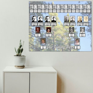 Gedempte foto van pijnboom bos met twee familiebom poster