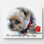 gedenkteken fotoplaat (Voorkant)