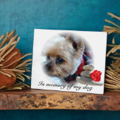 gedenkteken fotoplaat (Zijkant)