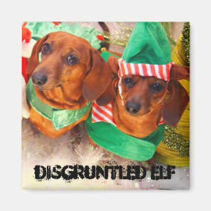 Gedestigeneerde Elf Dog Magneet