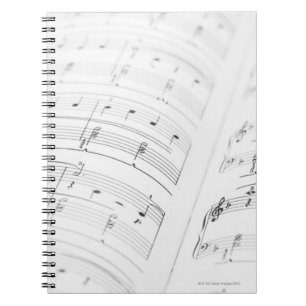Gedetailleerd blad Muziek 3 Notitieboek
