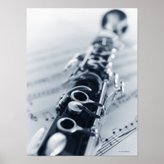 Gedetailleerd Clarinet Poster (Voorkant)