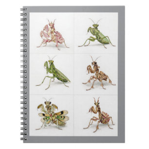 Gedetailleerde bidsprinkhaan soort kunst insecten notitieboek