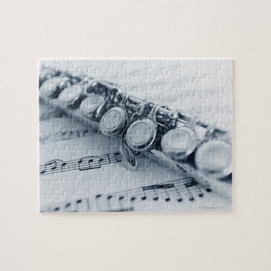 Gedetailleerde flut legpuzzel (Horizontaal)