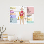 Gedetailleerde grafiek van de symptomen van cystis poster (Keuken)