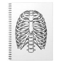 Gedetailleerde ribbenkast anatomie lijnkunst