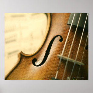 Gedetailleerde Violin Poster