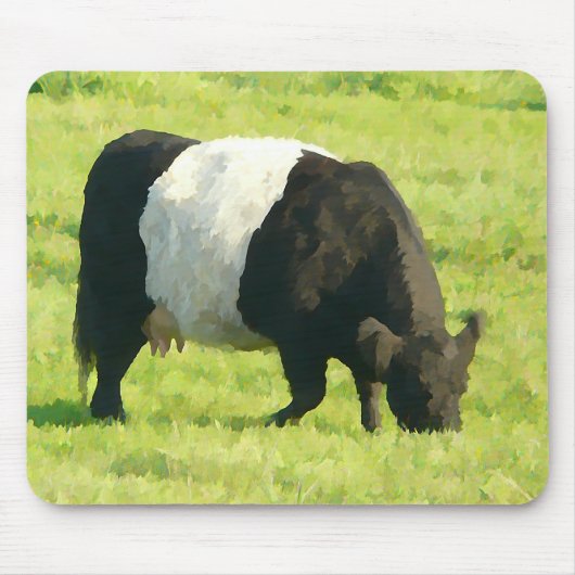 Gedetineerde kijk Geloofde Galloway Cow in Field Muismat (Voorkant)