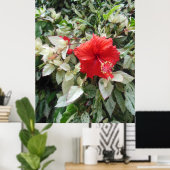 Gedifferentieerde Hibiscus Poster (Thuiskantoor)
