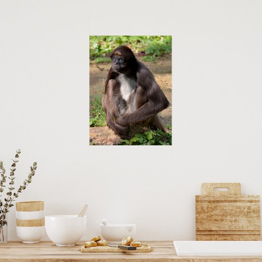 Gedifferentieerde spinaap op feestdag poster (Keuken)