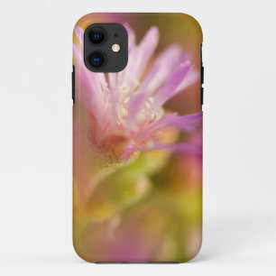 Gediffuseerde afbeelding van een kleurrijke sappig iPhone 11 hoesje