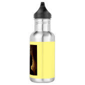 Gedistilleerd dier Jaguar 1 Waterfles (Rechts)