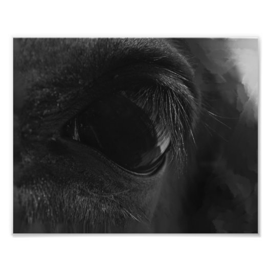 Gedistilleerde drank binnen foto afdruk (Voorkant)