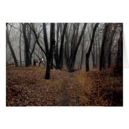 Gedistilleerde Pony in een gerangschikte houten ka