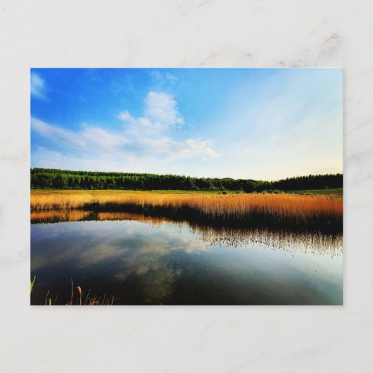 Gedling Country Park Briefkaart (Voorkant)