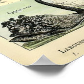  gedomesticeerde dieren door Adolphe Millot Poster (Hoek)