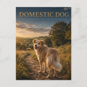 Gedomesticeerde hond plattelandspad DIEREN Briefkaart