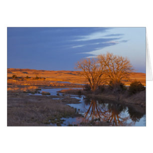 Gedompeld in het licht van de zonsondergang de Cal
