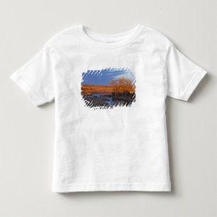 Gedompeld in het licht van de zonsondergang de Cal Kinder Shirts