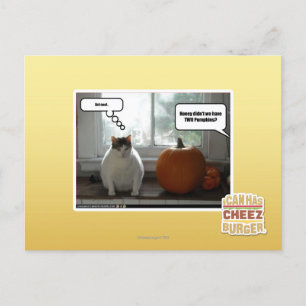 Gedraag je cool briefkaart