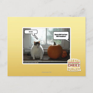 Gedraag je cool briefkaart