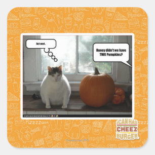 Gedraag je cool vierkante sticker