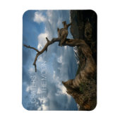 Gedraaide Limberdennenstam, Kraters van de Maan Magneet (Verticaal)