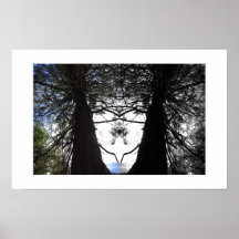 Gedraaide takken Yosemite Reflectie Fotografie