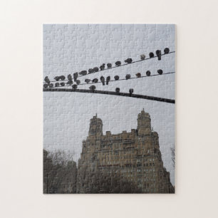 Gedraaide vogels op een Wire Upper West Side NYC Legpuzzel