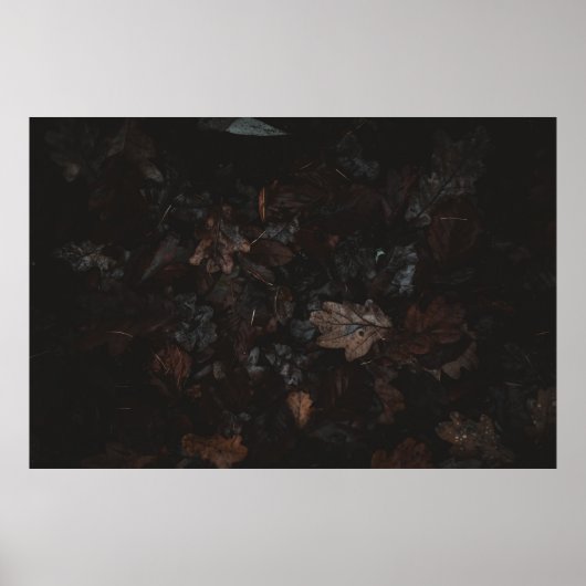 Gedroogde bladeren poster (Voorkant)