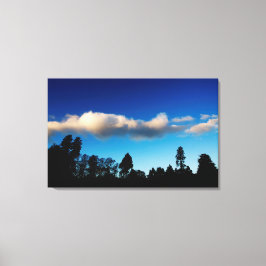 Gedroogde bomen bij schemering canvas afdruk