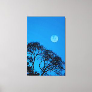 Gedroogde bomen en volle maan canvas afdruk