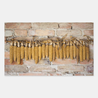 Gedroogde corncobs rechthoekige sticker