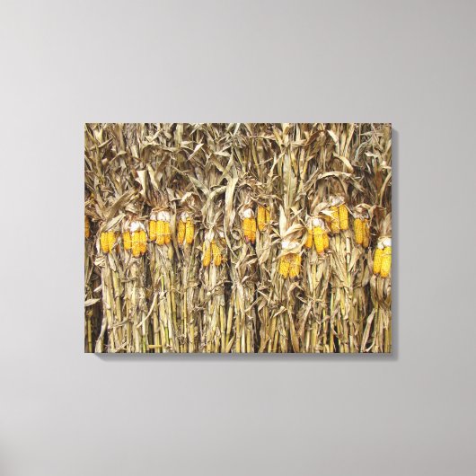 Gedroogde cornflak-decorpties canvas afdruk (Voorkant)
