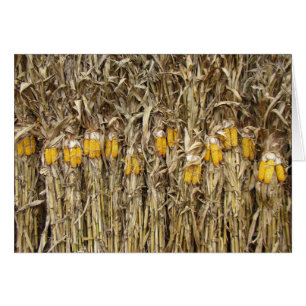 Gedroogde cornflakes