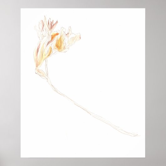 Gedroogde Freesia No. 3 Poster (Voorkant)