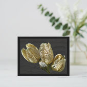 Gedroogde Lily Seed Pods Briefkaart (Staand voorkant)