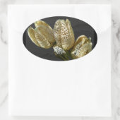 Gedroogde Lily Seed Pods Ovale Sticker (Tas)