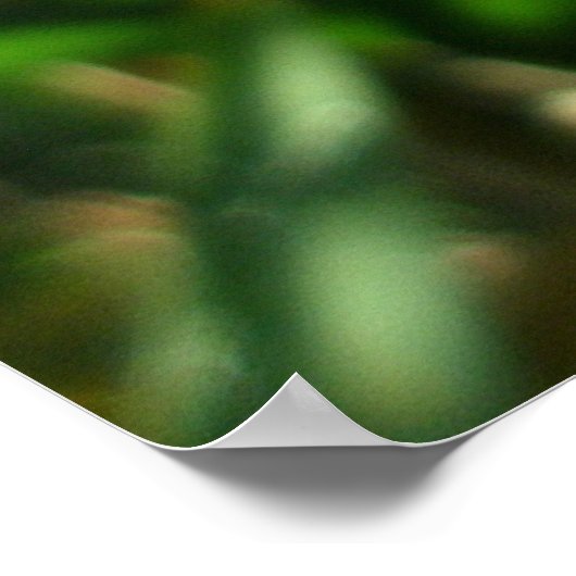 Gedroogde Lily Seed Pods Poster (Hoek)