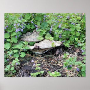 Gedroogde paddenstoelen en bloemen op boomstronk poster