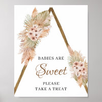 Gedroogde palmbladeren Pampas Grass Babies zijn zo