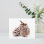 Gedroogde Persimmon Briefkaart (Staand voorkant)