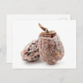 Gedroogde Persimmon Briefkaart (Voorkant / Achterkant)