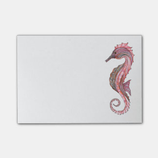 Gedroogde Seahorse Sticky Notes