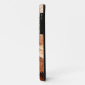 Gedroogde zeesterren verkocht als souvenirs 2 Case-Mate iPhone case (Achterkant/links)