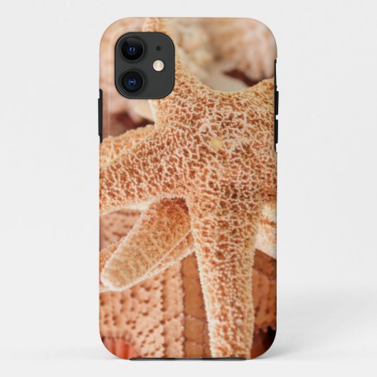 Gedroogde zeesterren verkocht als souvenirs 2 Case-Mate iPhone case (Achterkant)