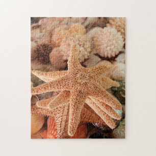 Gedroogde zeesterren verkocht als souvenirs legpuzzel