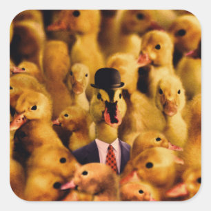 Gedrukt voor succes Duck Vierkante Sticker