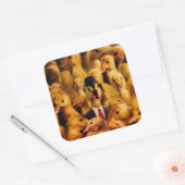 Gedrukt voor succes Duck Vierkante Sticker (Envelop)